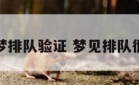 解梦排队验证 梦见排队很久