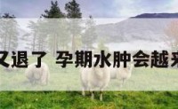 孕妇涨水又退了 孕期水肿会越来越严重吗
