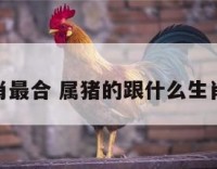 属猪的生肖最合 属猪的跟什么生肖最合得来