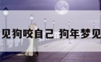属狗的梦见狗咬自己 狗年梦见狗咬自己