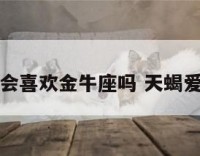 天蝎座会喜欢金牛座吗 天蝎爱金牛吗