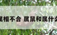 属鼠和啥属相不合 属鼠和属什么生肖不合