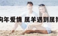 羊人遇狗年爱情 属羊遇到属狗的朋友