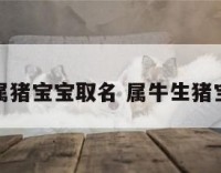 牛属猪宝宝取名 属牛生猪宝宝
