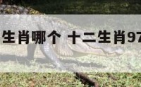 97属十二生肖哪个 十二生肖97属什么生肖