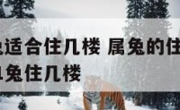 2011属兔适合住几楼 属兔的住几楼最吉利层2011兔住几楼