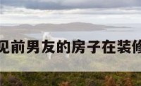 包含梦见前男友的房子在装修的词条
