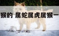 属蛇属虎属猴的 属蛇属虎属猴一家人会发生什么