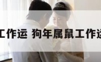狗年属鼠工作运 狗年属鼠工作运势怎么样