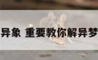梦境异象 重要教你解异梦异象