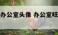 好运旺财的办公室头像 办公室旺财的植物有哪些