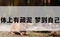 梦到前身体上有藏泥 梦到自己身上有泥