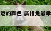 属相兔最幸运的颜色 属相兔最幸运的颜色是什么