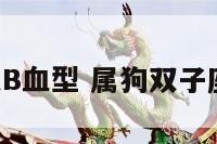属狗双子座AB血型 属狗双子座男生爱情观