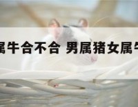 男属猪女属牛合不合 男属猪女属牛的婚姻相配吗