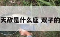 双子座的天敌是什么座 双子的敌对星座