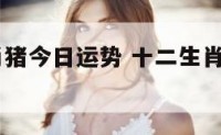 2018生肖猪今日运势 十二生肖猪今日运势