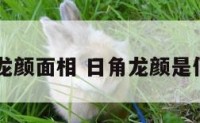 日角龙颜面相 日角龙颜是何面相