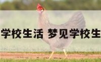 梦见新学校生活 梦见学校生活开心