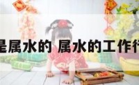 什么工作是属水的 属水的工作行业有哪些