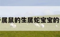 关于属鼠的生属蛇宝宝的信息
