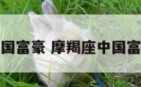 摩羯座中国富豪 摩羯座中国富豪有哪些