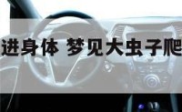 梦见大虫爬进身体 梦见大虫子爬身上是什么预兆