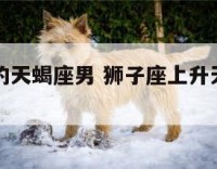 上升狮子的天蝎座男 狮子座上升天蝎座女生的长相