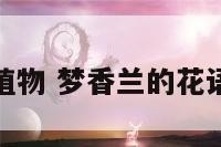 梦香树植物 梦香兰的花语是什么