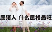 什么旺属猪人 什么属相最旺猪财运