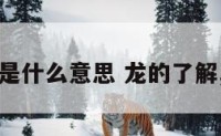 龙的文化是什么意思 龙的了解,龙的文化