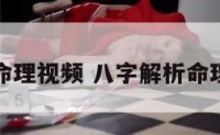 八字解析命理视频 八字解析命理视频大全