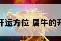 属牛的开运方位 属牛的开运方法