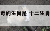 十二生肖最毒的生肖是 十二生肖什么动物最毒