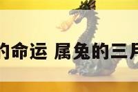 属兔三月生的命运 属兔的三月出生好不好