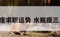 3月水瓶星座求职运势 水瓶座三月工作运势