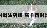 属羊酉时出生男咳 属羊酉时是什么命
