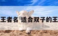 双子座王者名 适合双子的王者名字