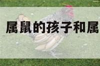 属鼠孩子属马 属鼠的孩子和属马的母亲相克吗