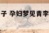 孕妇梦见青李子 孕妇梦见青李子树但是被拆生男生女