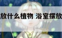 风水浴室摆放什么植物 浴室摆放什么风水摆件好