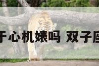 双子座属于心机婊吗 双子座心机深吗