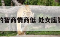 处女座的智商情商低 处女座智商奇高