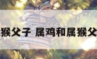 属鸡和属猴父子 属鸡和属猴父子合财吗