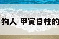甲寅日元的属狗人 甲寅日柱的人都过得咋样
