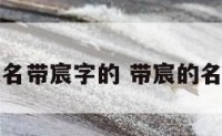 宝宝起名带宸字的 带宸的名字大全