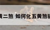 化五黄二煞 如何化五黄煞驱二黑