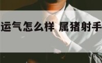 属猪射手座运气怎么样 属猪射手座运气怎么样女生