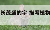 形容植物生长茂盛的字 描写植物生长茂盛的成语10个