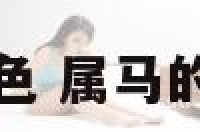 马适合的颜色 属马的适合的颜色